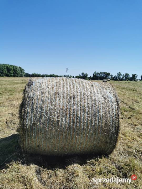 Siano 120x120 bez deszczowe TRANSPORT lubuskie Zwierzyn