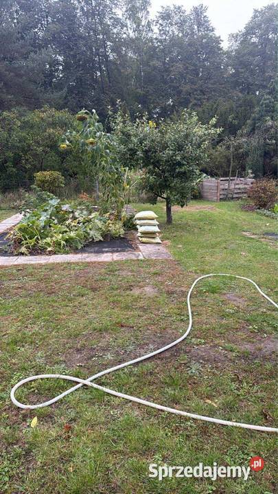 Działka ROD Janosik Łódź sprzedam