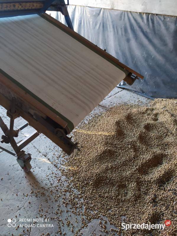 Maszyna do czyszczenia płótniarka Miechów