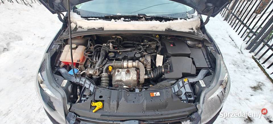 Ford Focus mk3 1 6TDCI 109 mazowieckie Ciechanów