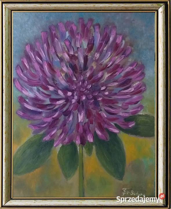 Obraz olejny Koniczyna Lublin