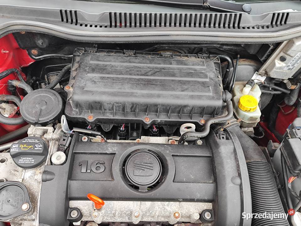 Seat Ibiza 2009r 16 MPI 105 z Niemiec Opłacony Królewiec