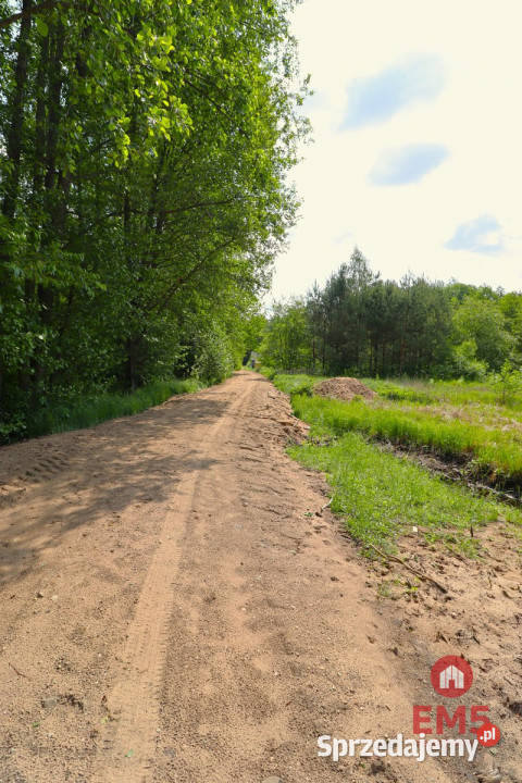 Działka do sprzedania Płaska 1420m2 podlaskie