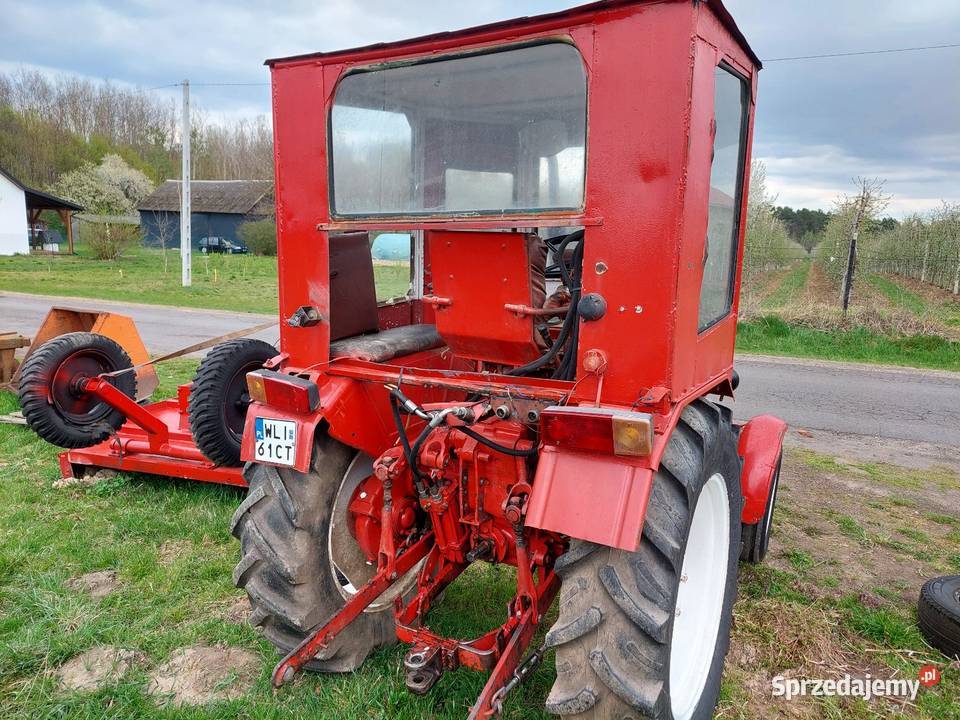 Władymirjec T25A Rusek mazowieckie