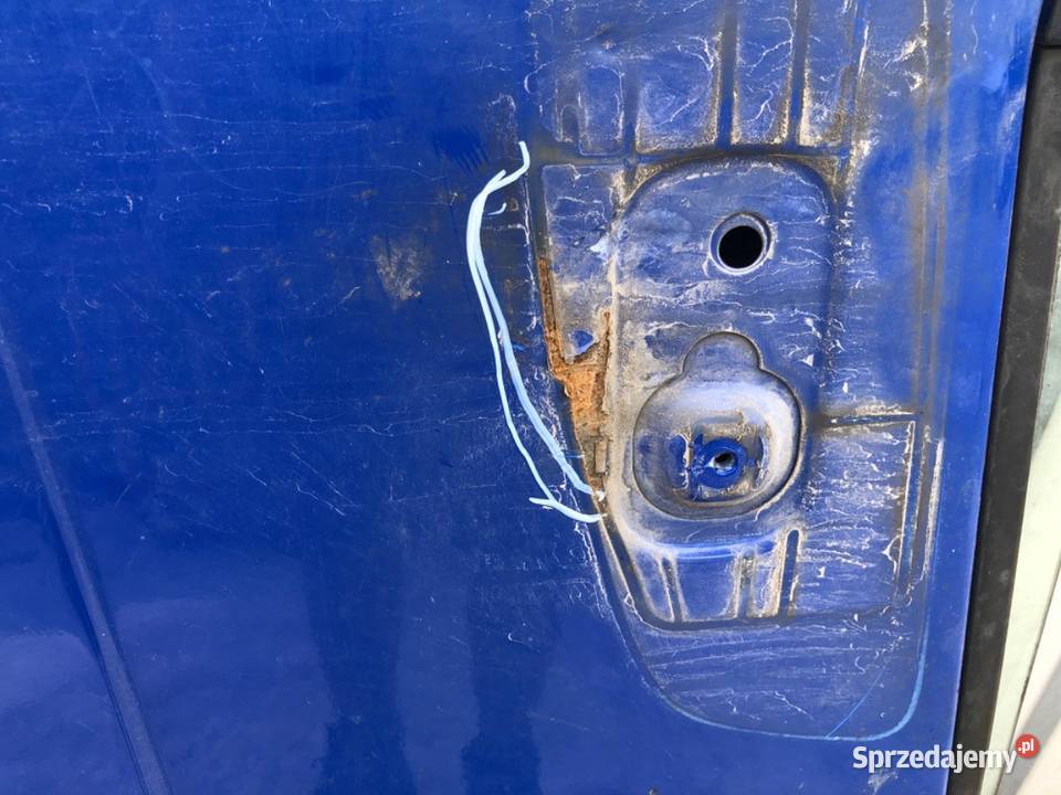 DRZWI LEWY PRZÓD DAF N Inny podkarpackie