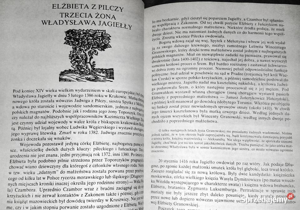 Polskie królowe Żony Piastów i Jagiellonów Chełm sprzedam