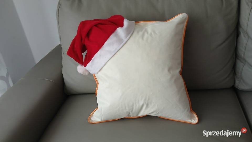 Jasiek 40x40 300gr 100 naturalne pierze gęsie Poznań