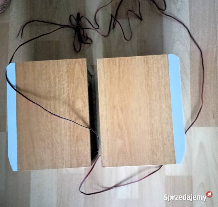 Głośniki Kenwood LSM37 2x 10w Elektronika Tarnobrzeg