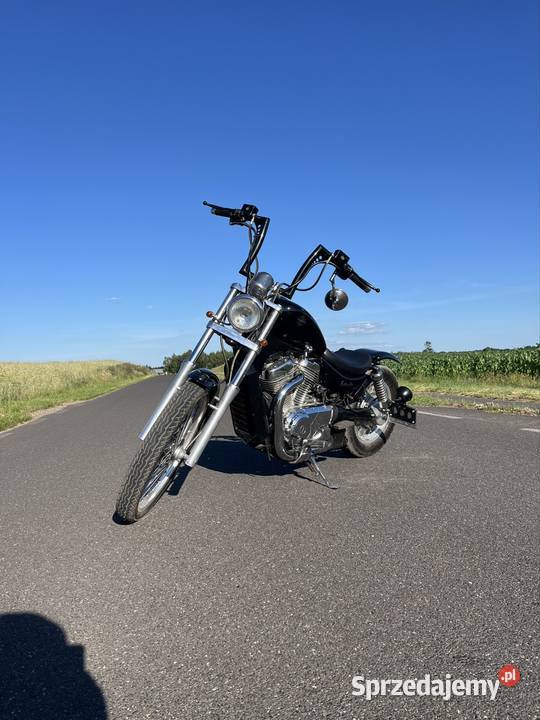 Suzuki VS 600 GL Intruder Bobber 1996r Suzuki Rogówko