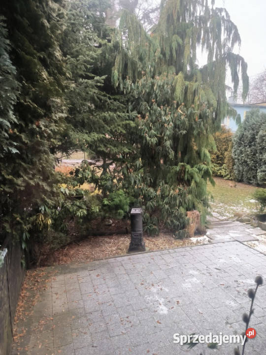 DomDwa mieszkania centrum 20 min pieszo 670m2 Gliwice