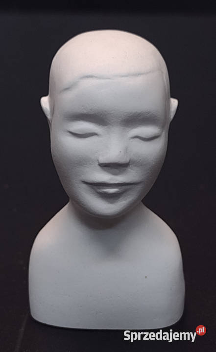 Popiersie gipsowe Główka głowa do utwardzania Gdańsk