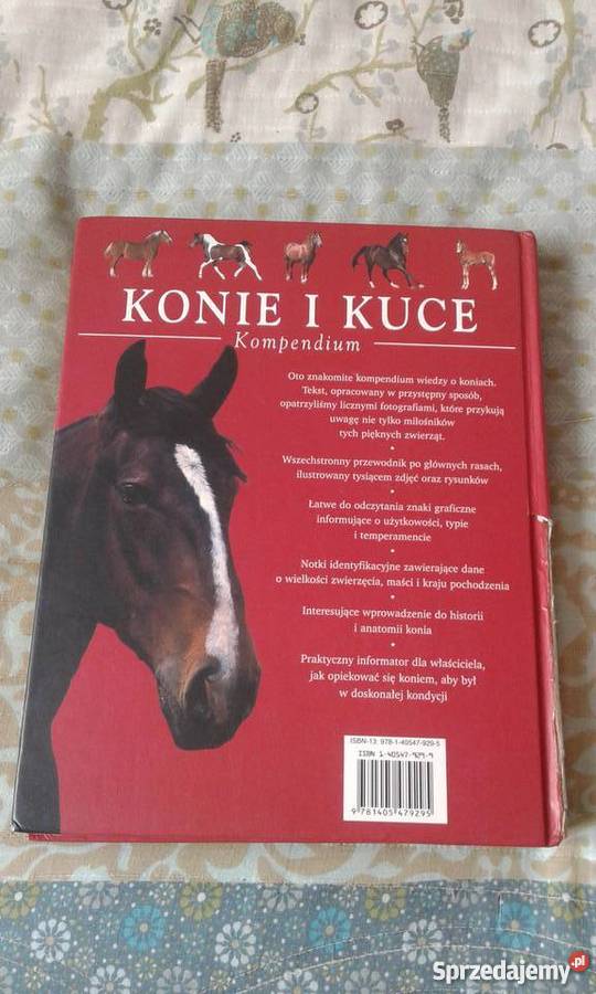Konie i kuce Kompedium
