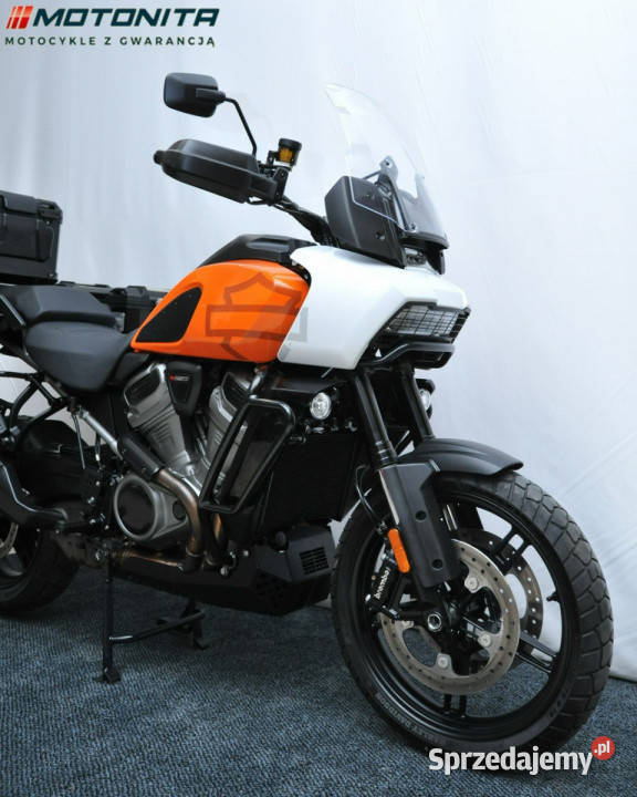 HarleyDavidson Nightster HarleyDavidson Pan Podkowa Leśna