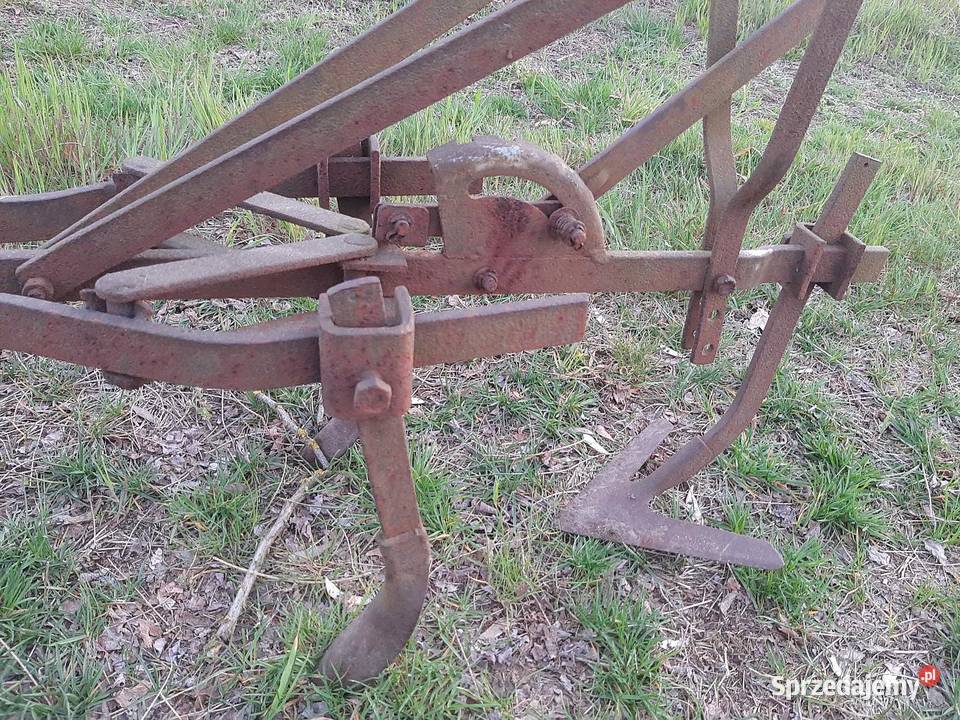 Pielnikobsypnik konny łódzkie Zgierz