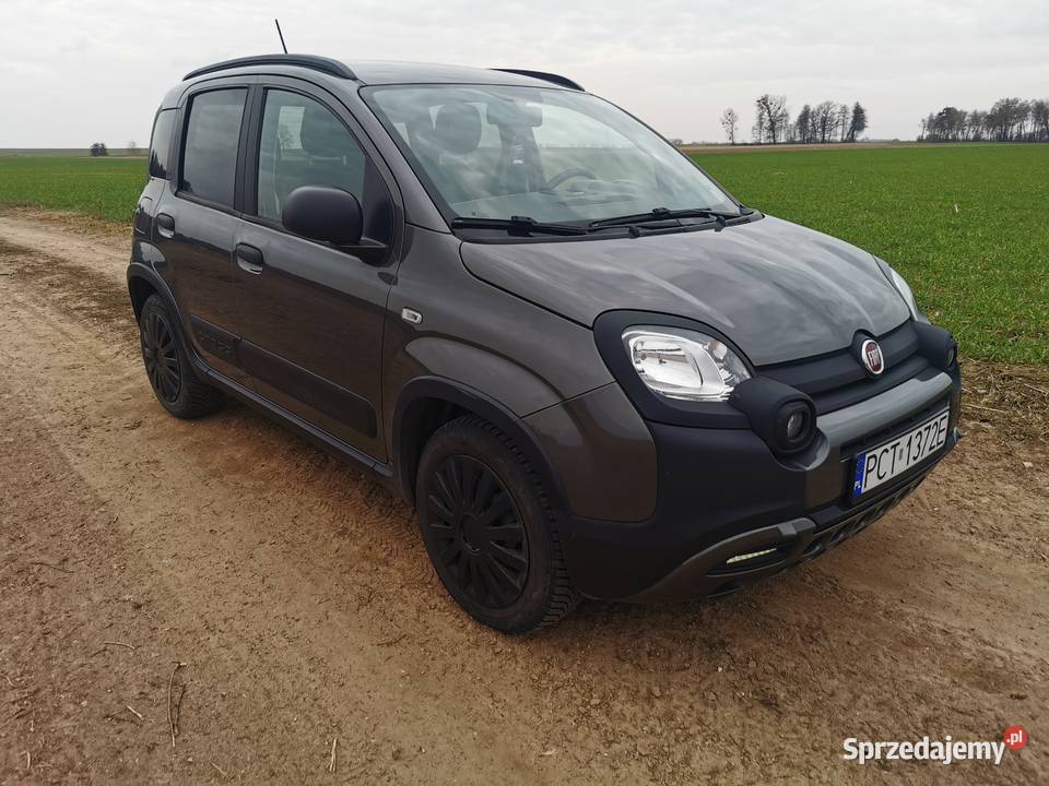 Fiat Panda Cross Panda Czarnków