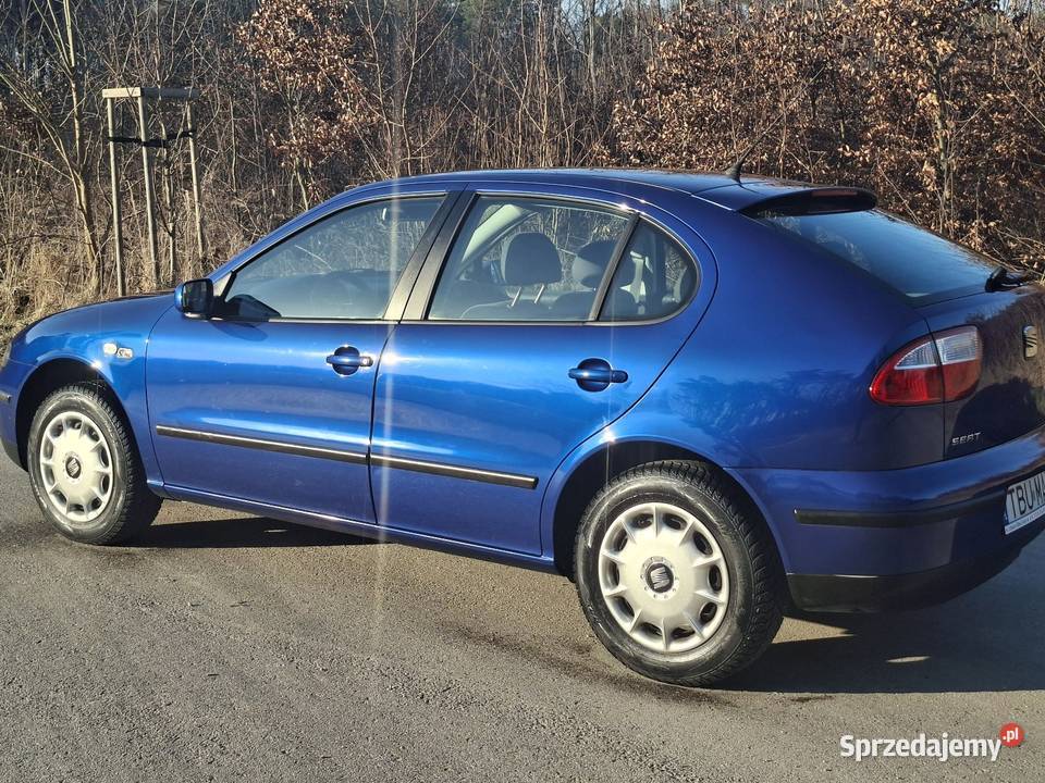 Leon świętokrzyskie Marzysz