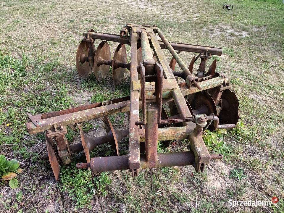 Brona Talerzowa nieuszkodzony łódzkie Drzewica