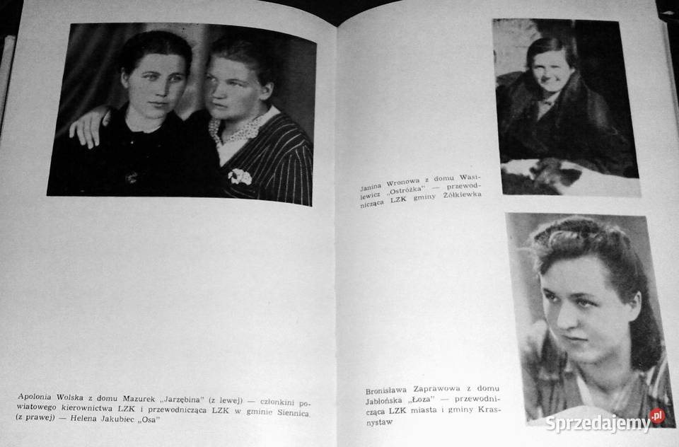 Walczyli na ziemi krasnostawskiej 19391945 Paweł Chełm