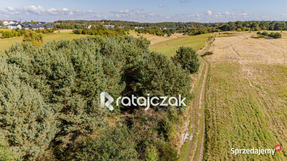 Grunt na sprzedaż Władysławowo Szkolna 2000m2 pomorskie