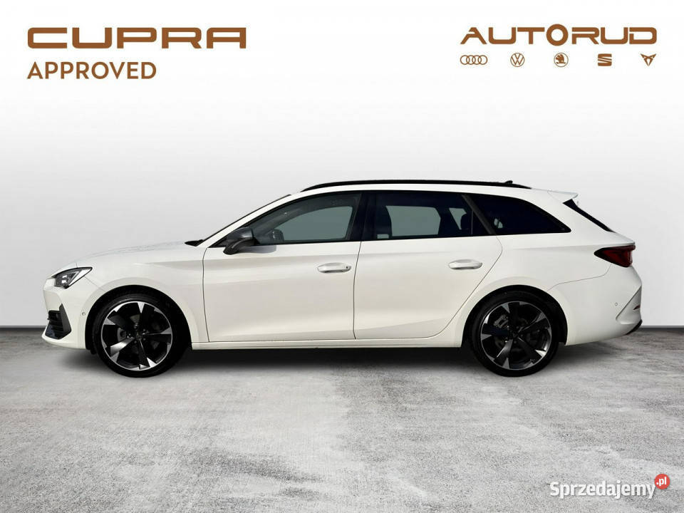 Cupra Leon SP 15 eTSI 150 DSG 2023 Bezwypadkowy Leon Kielce