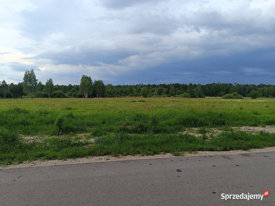 sprzedaży działki 1366m2 Daleszyce Sprzedaż świętokrzyskie