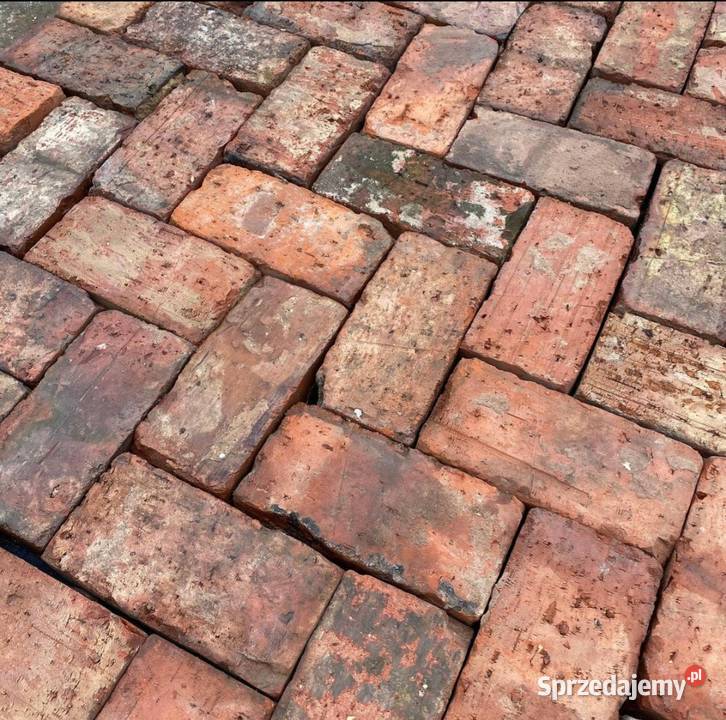TerakotaPłytka ceglana podłogowa Cegła brukowa Piotrków Trybunalski