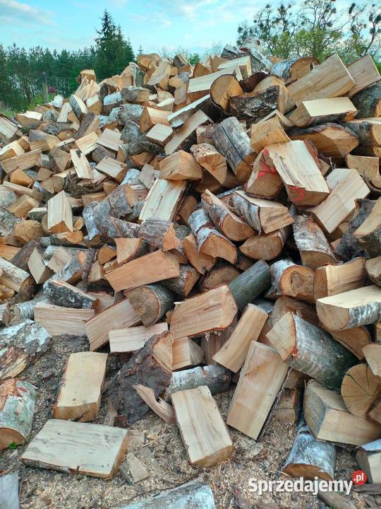 Drewno opałowe Piła sprzedam
