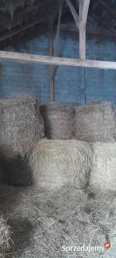 Sprzedam siano I słomę z sezonu 2025 Ropczyce