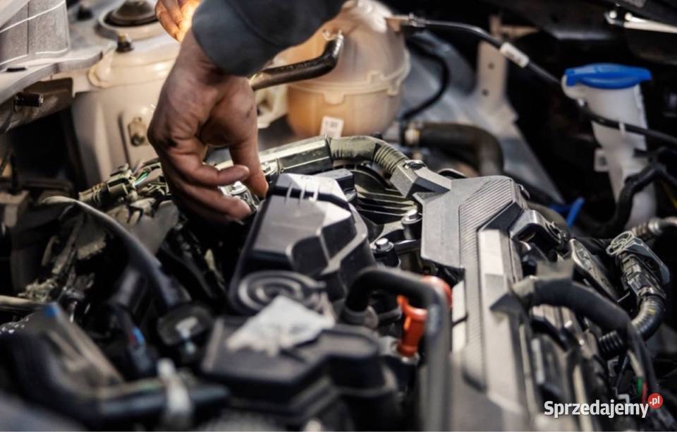 Auto Elektryk Diagnostyka Konwersja Aktualizacja Naprawa i warsztat wielkopolskie