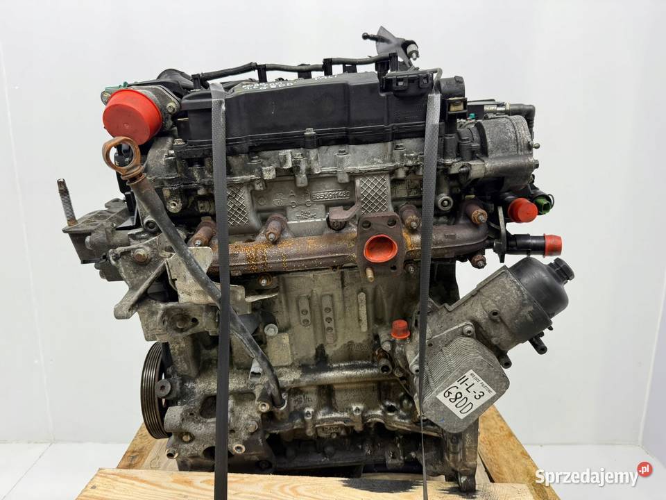 SILNIK KOMPLETNY G8DD Ford Focus II MK2 C C 16 lubelskie Chełm