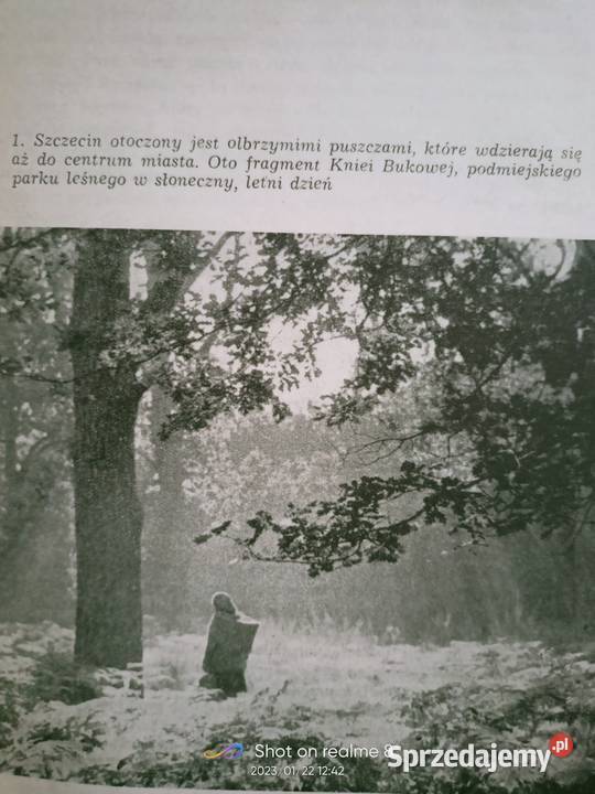 Szczecin miasto parków i zieleni Polskie miękka Warszawa