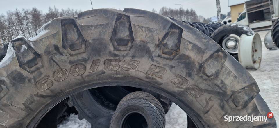 60065r38 6006538 Trelleborg 70 bieżnik sprzedam