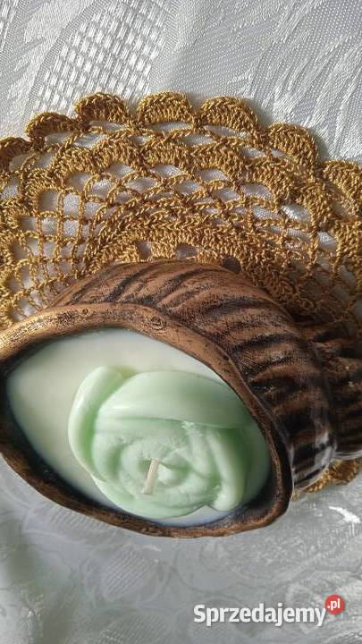 DUŻA ŚWIECA SOJOWA W ZŁOCONEJ MUSZLI Piła