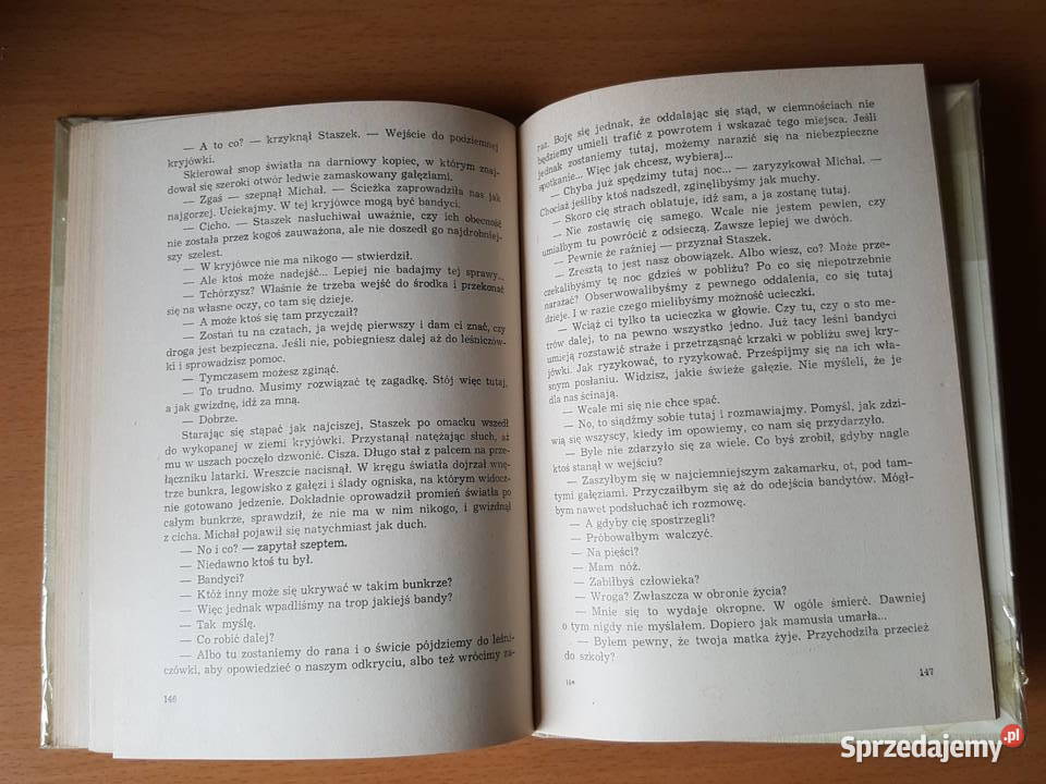 KSIĄŻKA młodzieży Chłopiec z gitarą Danuta Złotniki