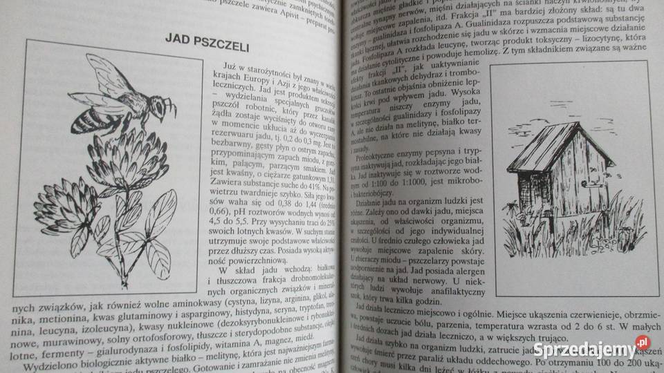 Apteka natury Poradnik zdrowia J Górnicka Łódź