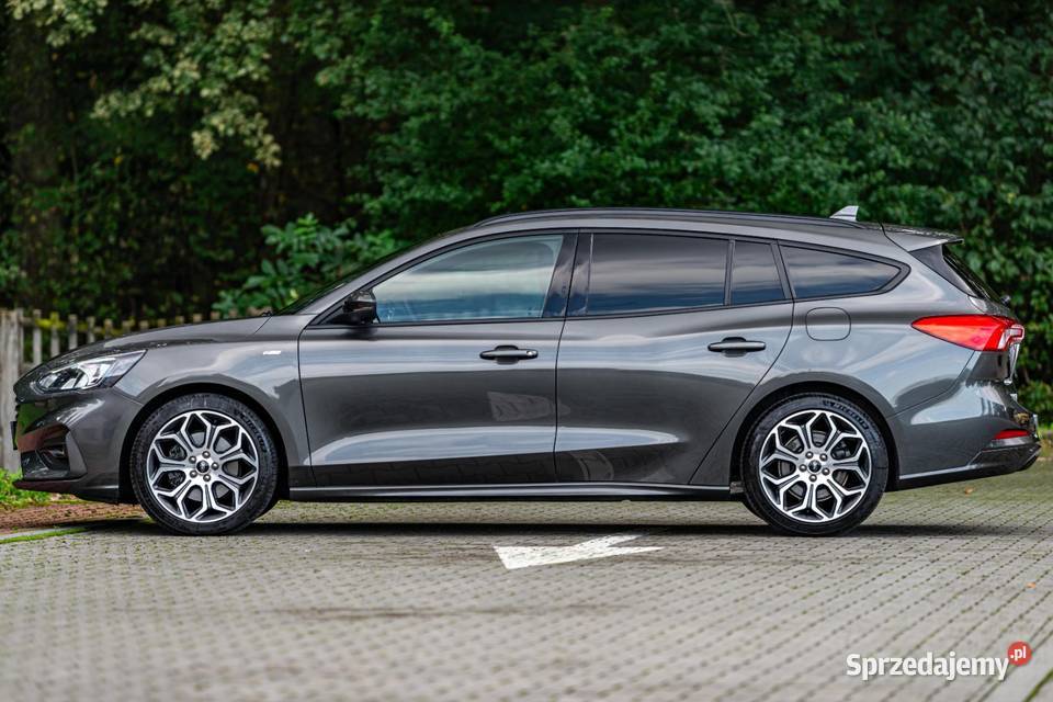 FORD FOCUS nieuszkodzony