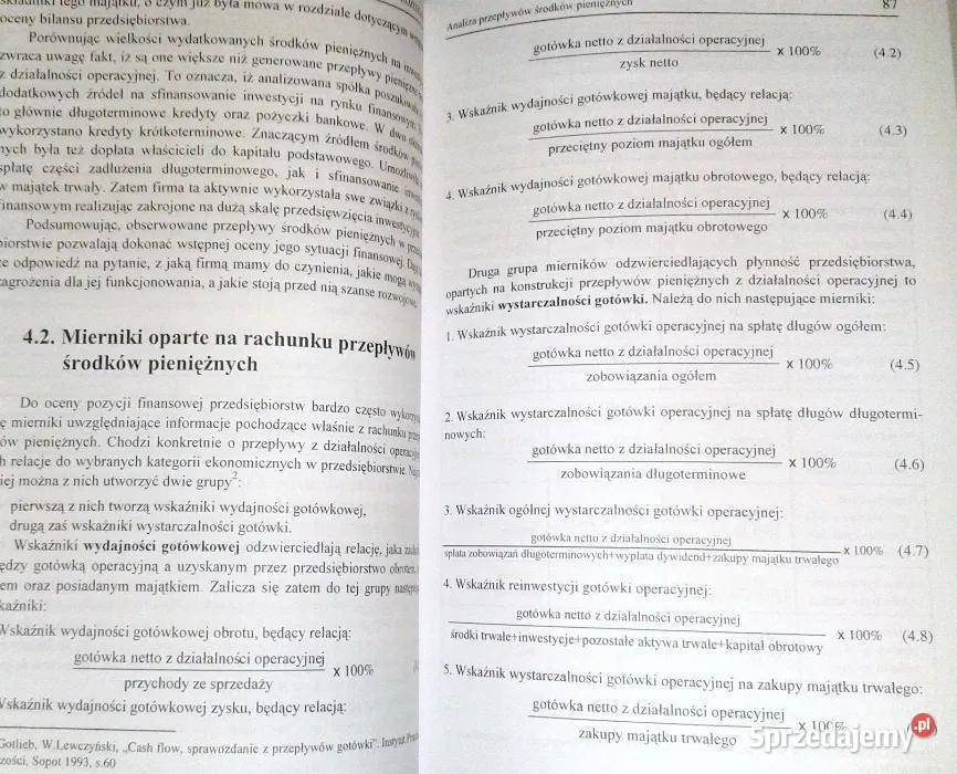 Analiza ekonomicznofinansowa firmy Z Leszczyński sprzedam