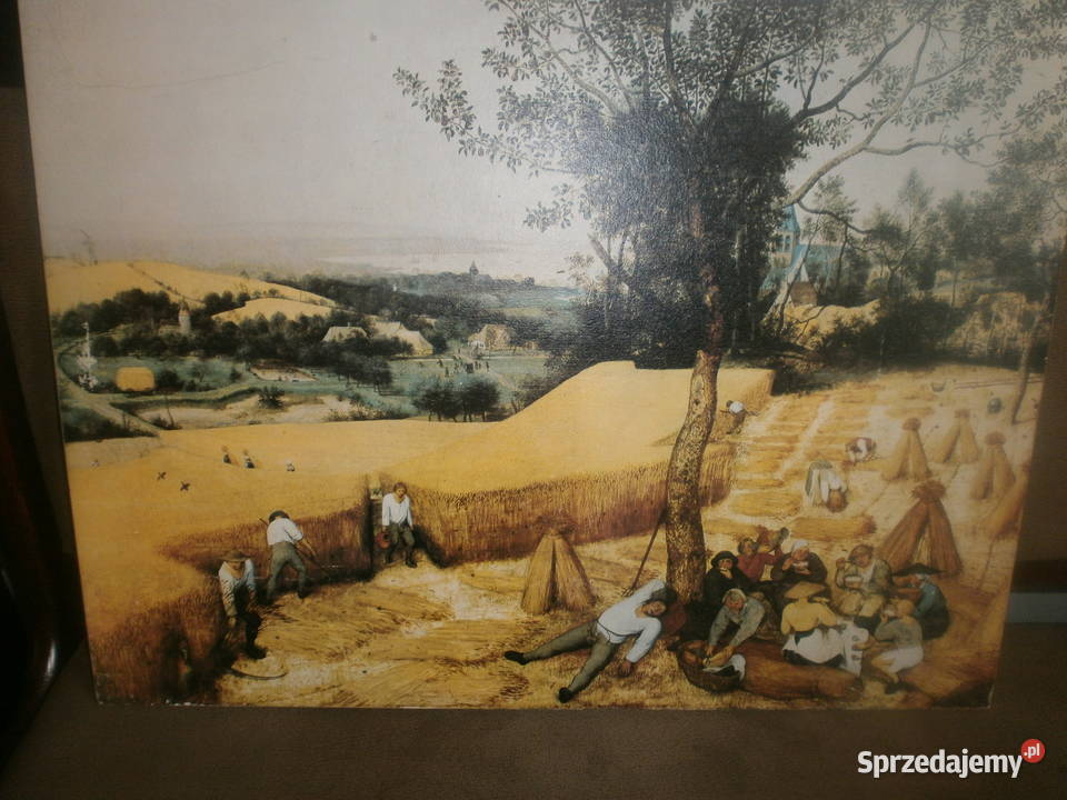 ZNIWIARZE THE HARVESTERS OBRAZ NA PŁYCIE PIETER lubuskie