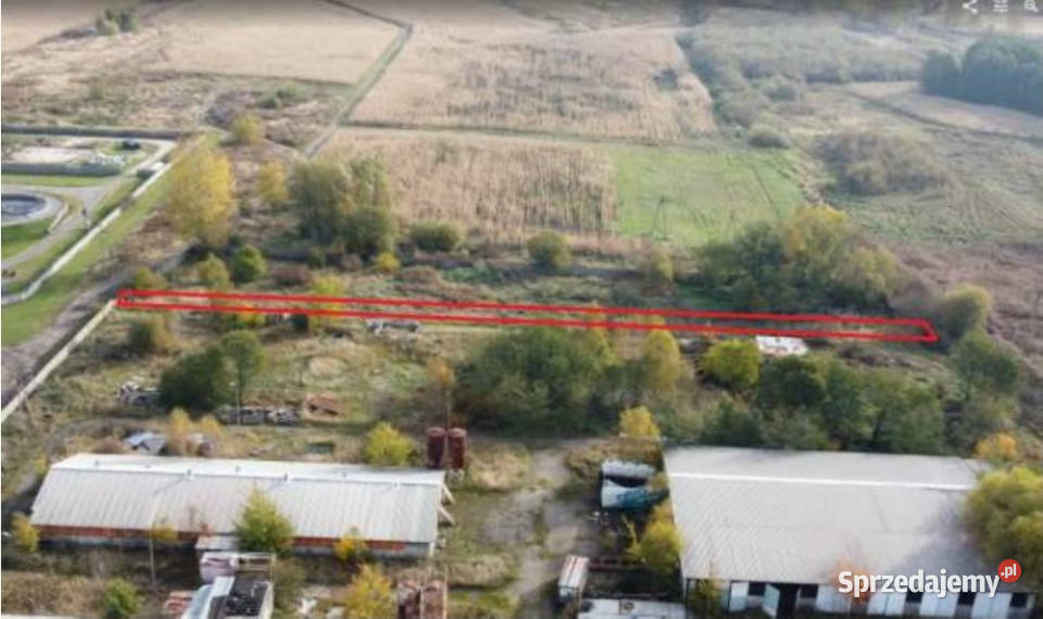 Syndyk sprzeda działki w Rogoźniku Rogoźnik