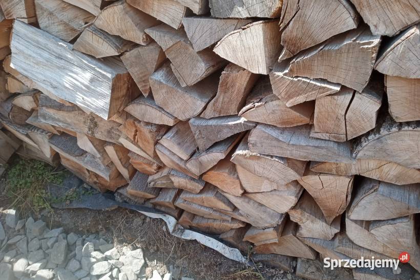 Drewno opałowe Poznań sprzedam