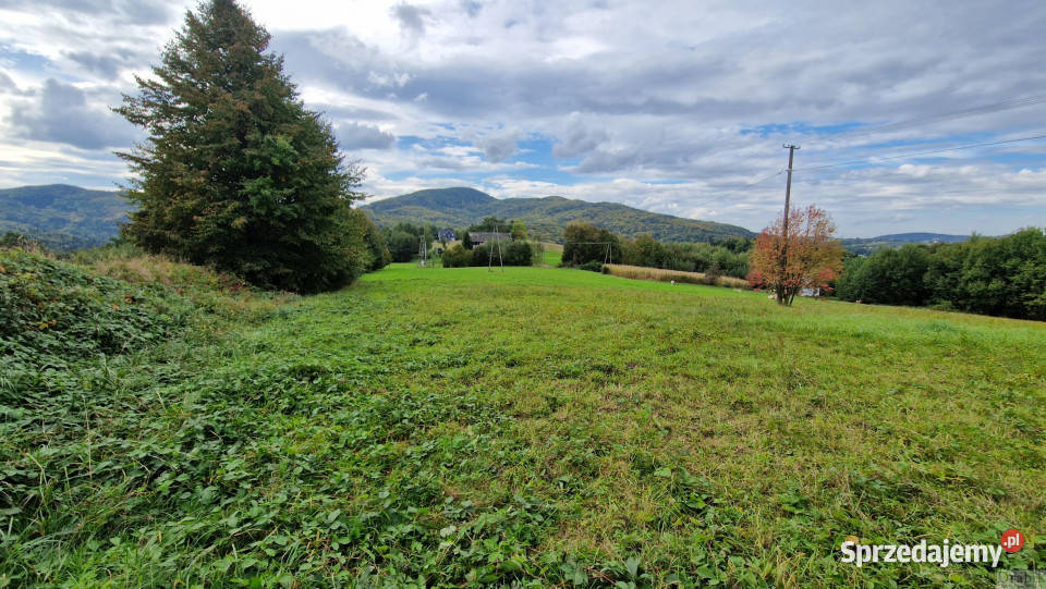 Działka Zegartowice 4000m2