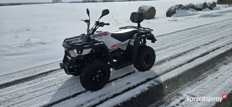 Sprzedam quad linhai hitrack 170 2019 ładny nieuszkodzony Linhai lubelskie Świerszczów