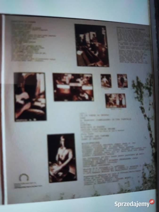 Perełka włoskiego Prog Rocka MAXOPHONE Italian Płyty i kasety Rzeszów