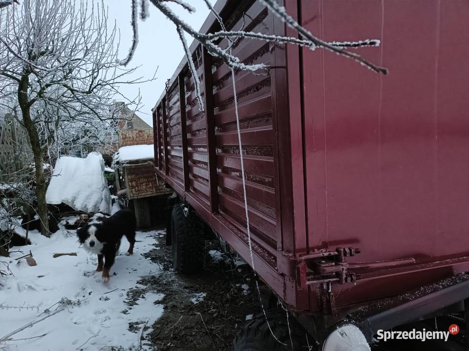 Przyczepa na 3 strony wywrotka Szkudła