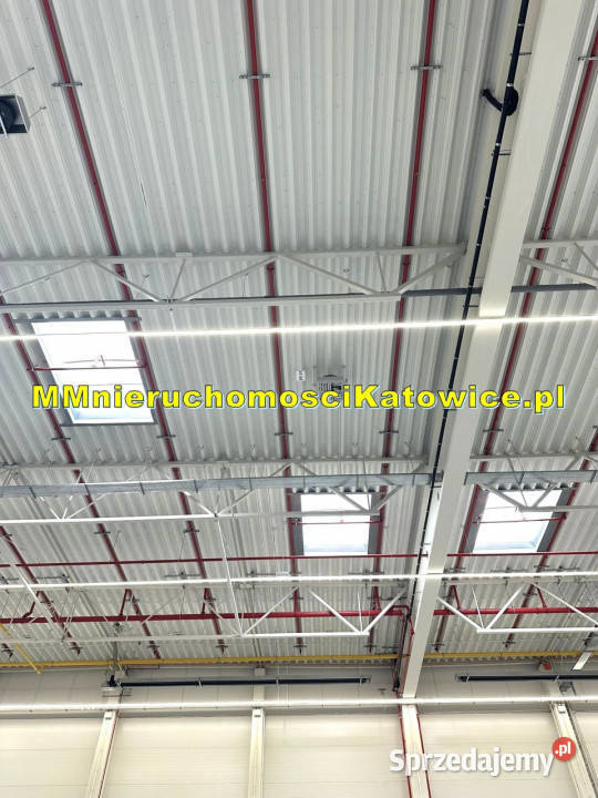 Centrum dystrybucyjne magazyny do wynajęcia