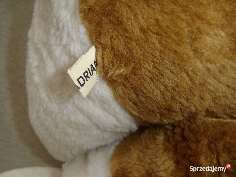 Duży Gremlin 50 stary 1991 Nowy Sącz