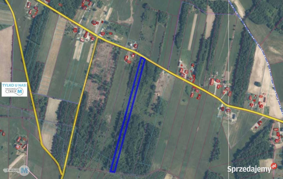 Działka Raków 9100m2 Nieruchomości