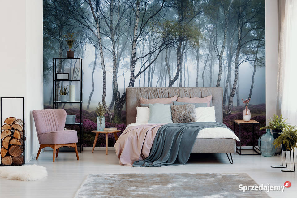 Tapeta fototapeta Las we mgle Las brzozowy wewnętrzne wielkopolskie Leszno