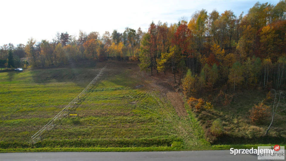 Działka 4182m2 TeodorówkaKolonia Grunty i działki Teodorówka-Kolonia