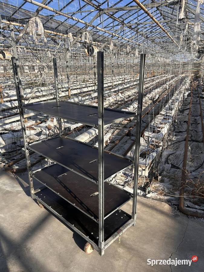Półki do wózków duńskich kwikatowych CC regałów Śmigiel